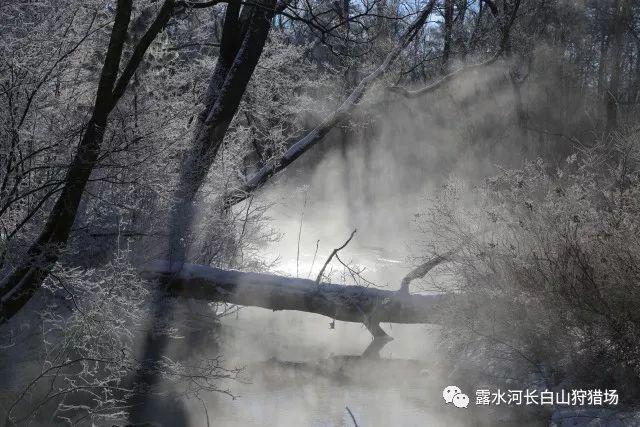 我和僵尸有个约会的主题曲是游戏画面
